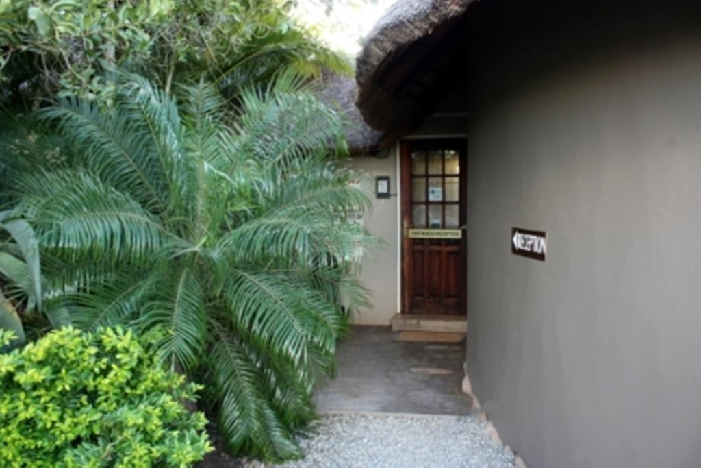 Croc River Lodge 科马蒂普特 外观 照片